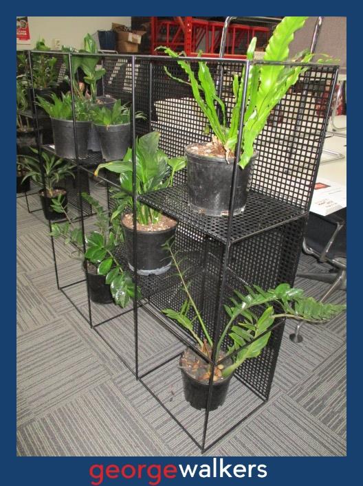 PR6432 Black Metal Planter Wall Divider - George Walkers Office Furniture Megastore