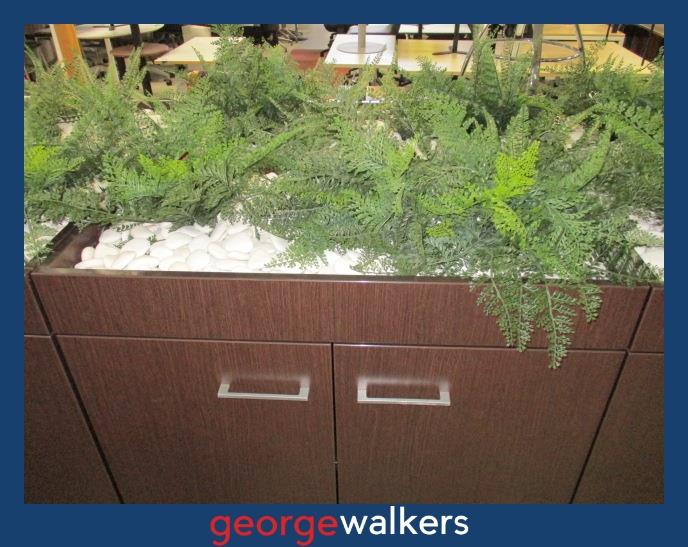 PR6330 Dark Wood Melteca 2 Door Planter Cupboard original RRP $1200 - George Walkers Office Furniture Megastore
