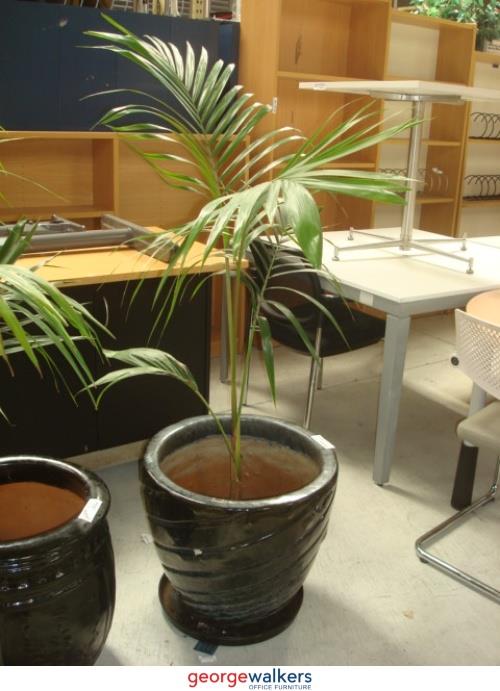 PR1221 - Glazed Black Pot - George Walkers Office Furniture Megastore