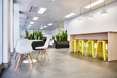 A Day in the Life of George Walkers: Transforming Office Spaces Sustainably