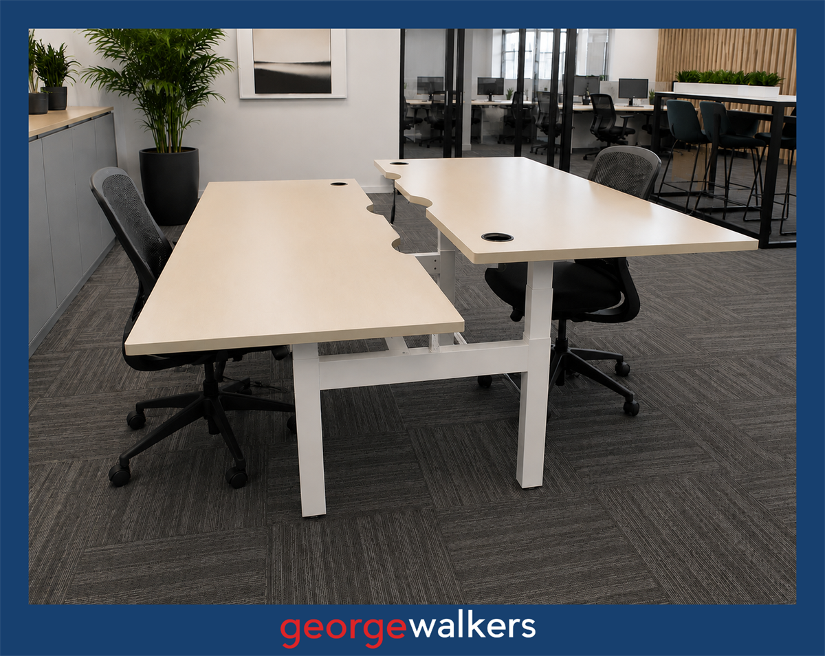 VL1  Maple  2 Person Electric Height Adjustable Pod Desk 1.8M - George Walkers Office Furniture Megastore