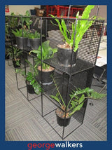 PR6432  Black  Metal Planter Wall Divider - George Walkers Office Furniture Megastore