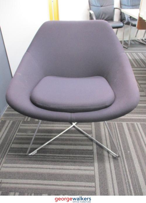Designer Occasional Chair - Grape