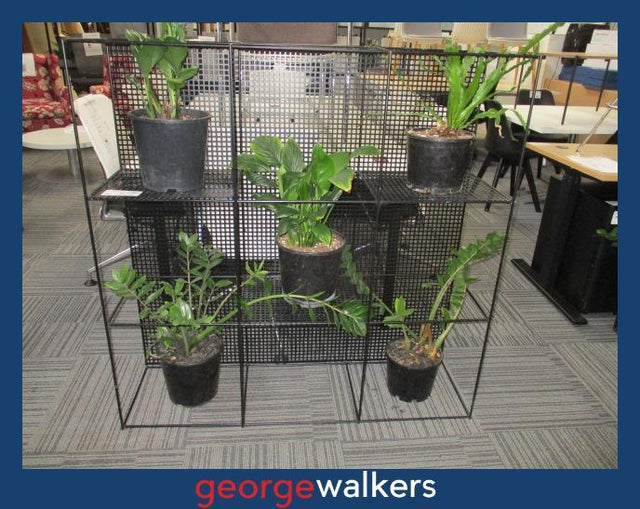 PR6432  Black  Metal Planter Wall Divider - George Walkers Office Furniture Megastore
