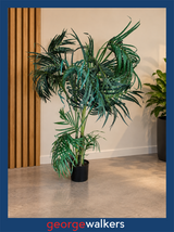 Artificial palm – Large – 1.5m–1.8m – Ex home staging – PR7034