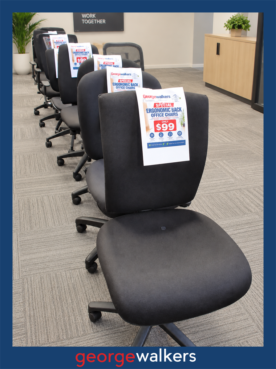 Office chair - Ergonomic - Clearance - $99 special - PR6981